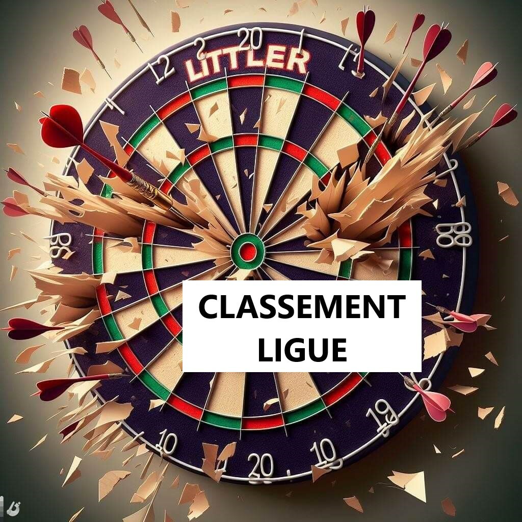 CLASSEMENTS LIGUE PROVISOIRE