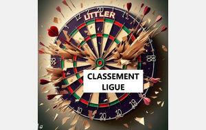 CLASSEMENTS LIGUE PROVISOIRE