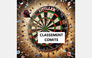 CLASSEMENT COMITE PROVISOIRE
