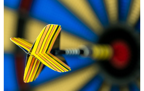 TOULOUSE DARTS ACADEMIE
