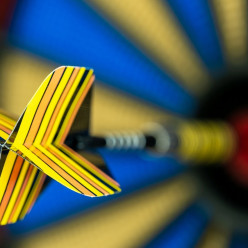 TOULOUSE DARTS ACADEMIE